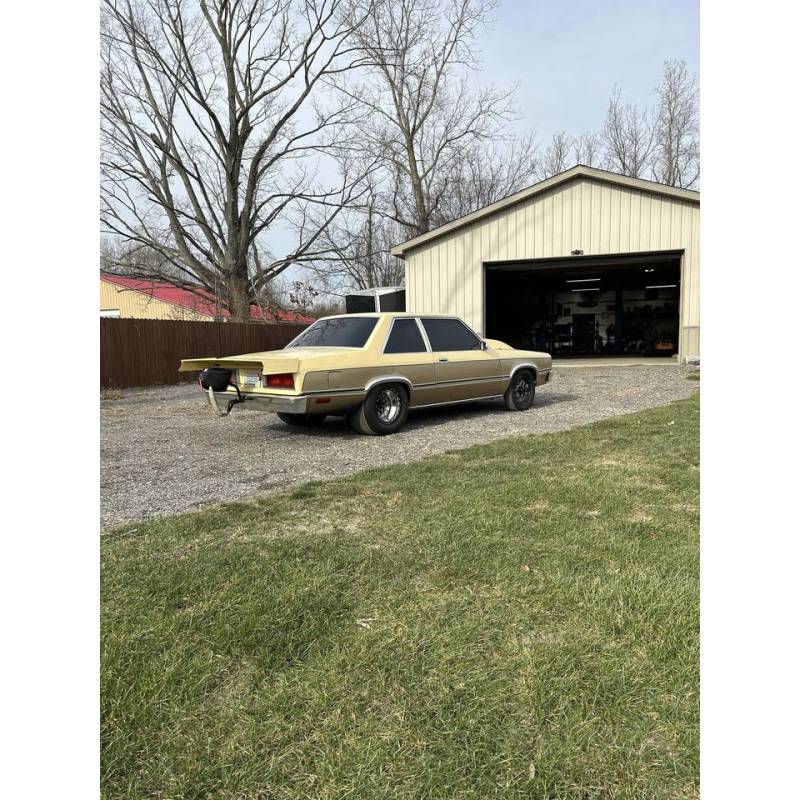 Fairmont Futura 78-82 Rear Wing with Struts